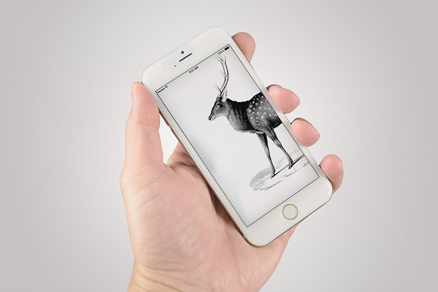 iPhone Mockup<span>Illustration</span>
