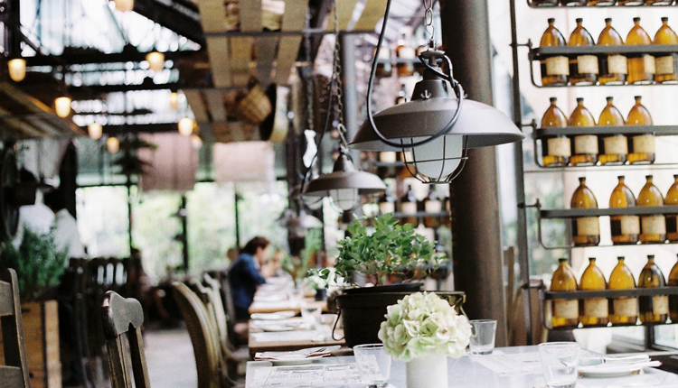 <i>Cool Restaurant</i><span>lifestyle</span>